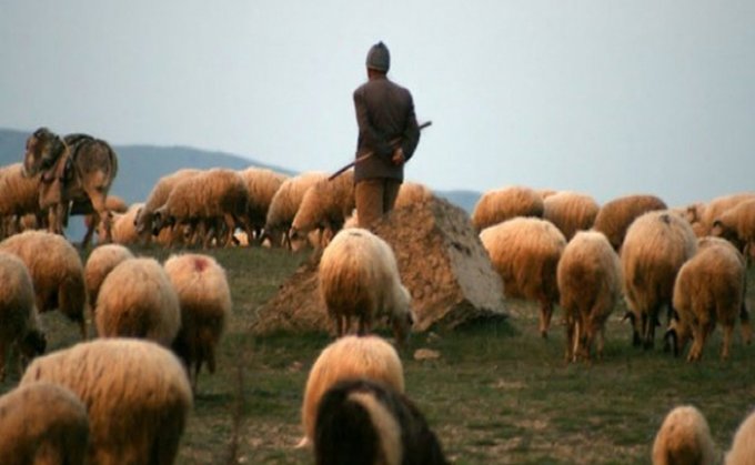 Dersim’de bir çobanın cansız bedeni bulundu