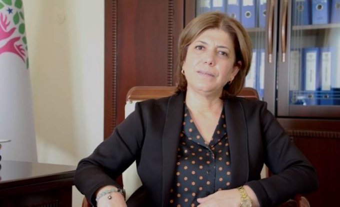 HDP’li Beştaş: Kürt meselesi yoksa reform olmaz
