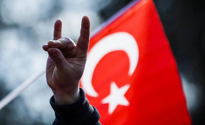 Almanya’da ‘ülkücü hareket yasaklansın’ talebi
