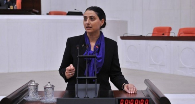 HDP’li Feleknas Uca, TSK operasyonun sürdüğü Federe Kürdistan Bölgesi’nin sınır hattında kesilen ağaçların Türkiye’ye satılmasını Meclis gündemine taşıdı.